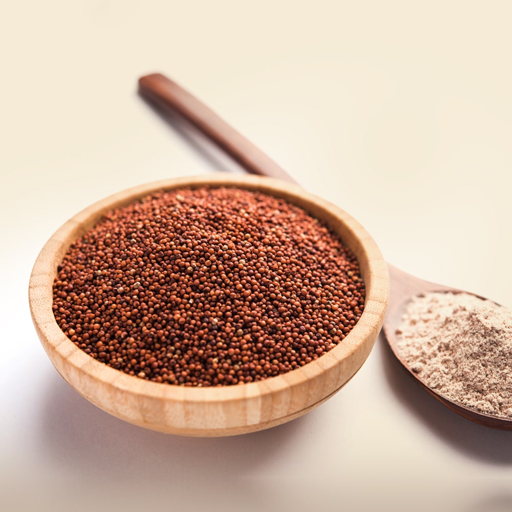 Finger Millet (Ragi)