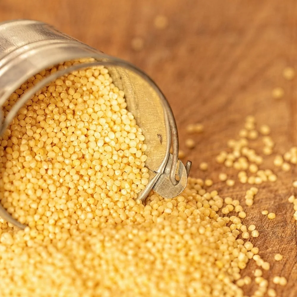 Foxtail Millet